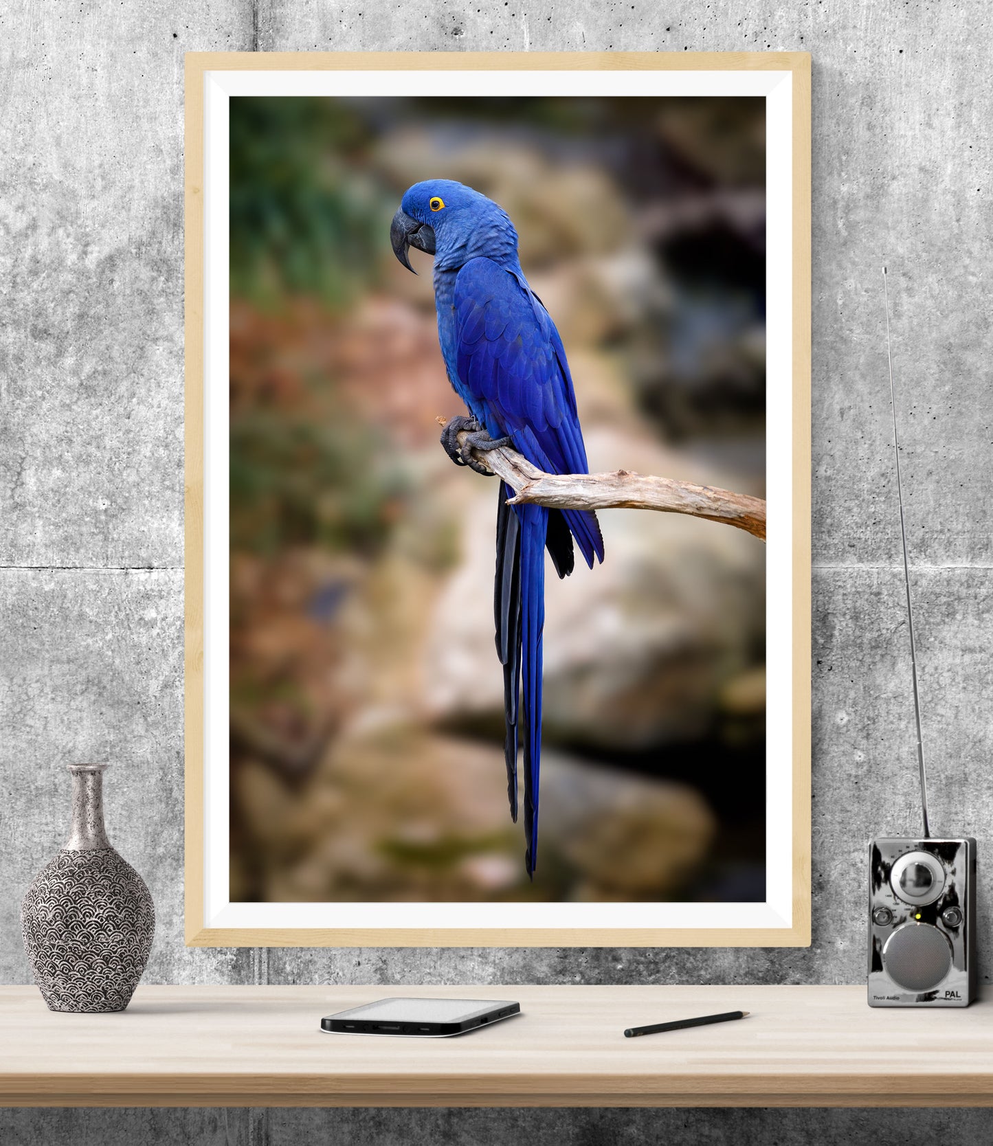 Blue Macaw Parrot Bird WALL ART PRINT Poster Picture Wall Hanging