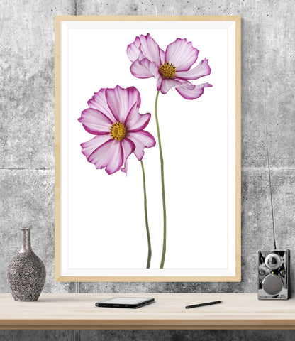 Pink Fuchsia Flowers WALL ART PRINT Poster Picture Wall Hanging